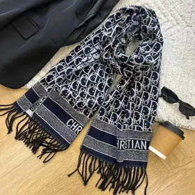 Lv/Dior Scarf(16 styles)-0281